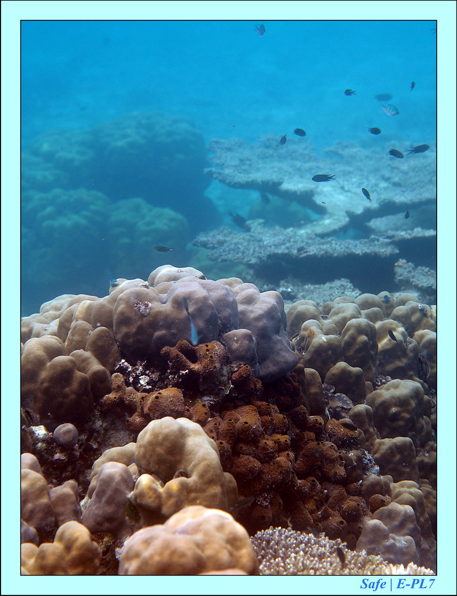 2016 - 07 - Leng Tengah - 011